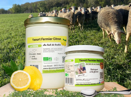 Dessine moi une brebis - Yaourt Brebis Citron 780g + 320g Nature