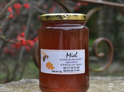 La Truite du Mézenc - Miel de Sapin - 1kg