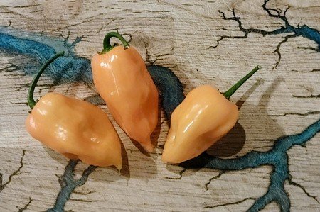 HERBA HUMANA - Habanero Orange - 40g