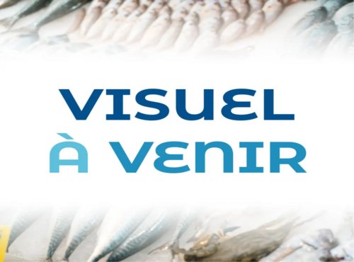 Brest Marée - Filet de Tacaud