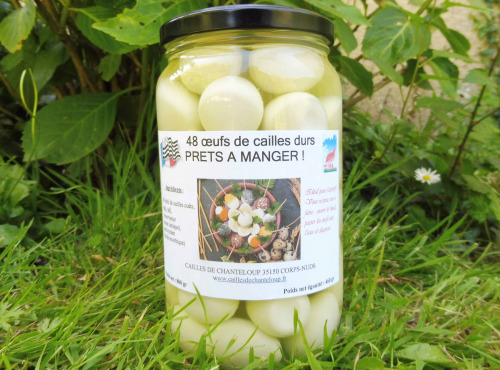 Cailles de Chanteloup - LOT de 2 bocaux de 48 oeufs de cailles écalés et cuits + 1 terrine de caille nature 90 gr
