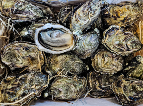 Ocean Frais - Huitres Spéciales du Médoc N°3 - colis 24 pièces