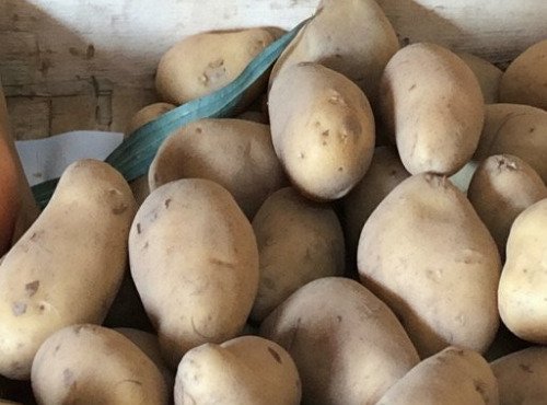 Ferme de la Paumerais - POMMES DE TERRE GRENAILLES PRIMEUR 10 KG