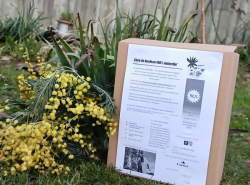 Rébecca les Jolies Fleurs - Cure Sève de Bouleau fraîche 3l