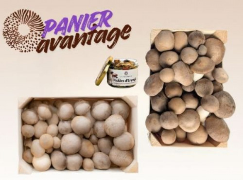 Les Myconautes - Panier Myconautes champignons bio - Avantage