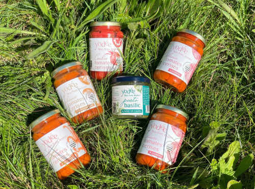 Agriloops - Assortiment de Coulis et de Pesto