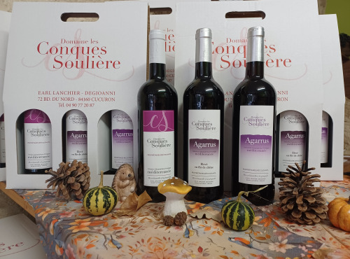 Domaine Les Conques Soulière - ROUGE 3 bouteilles Panachées