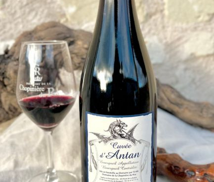 Domaine de la Chopinière du Roy - Vin rouge Bourgueil - Cuvée d'Antan 2022 - 6x75cl