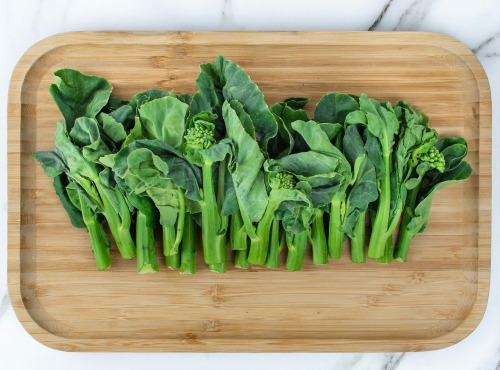 Nature et Saveurs - Ferme Aquaponique et Permacole Astérienne - Kai lan – brocoli chinois croquant et raffiné