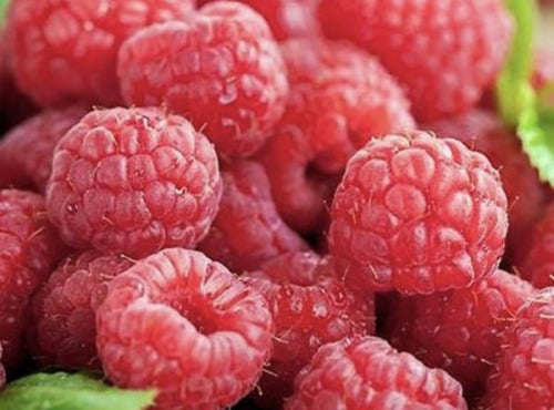 L'OLIVERAIE DU COUDON - FRAMBOISES 1 KG