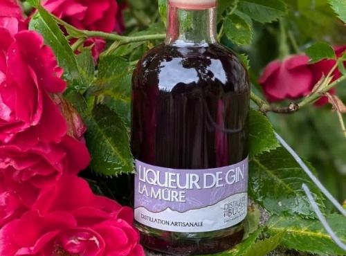 Distillerie du Bugey - Liqueur de gin à la mûre 20cl