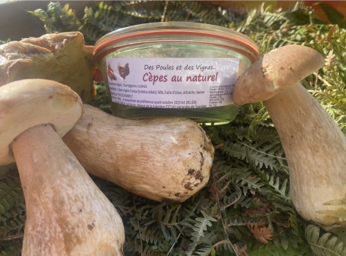 Des Poules et des Vignes à Bourgueil - Cèpes au naturel