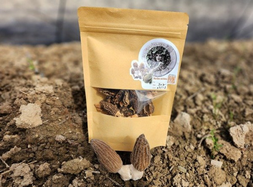 Les Morilles des Voconces - Morilles séchées 1kg