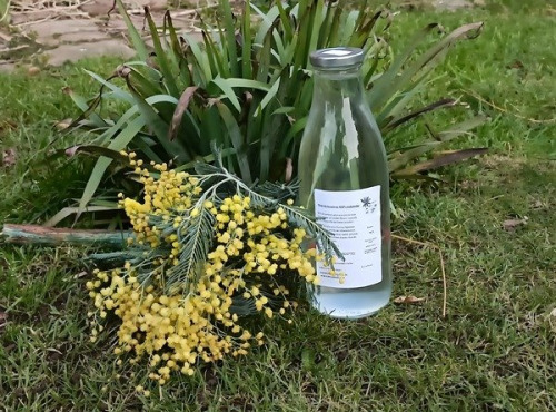 Rébecca les Jolies Fleurs - Sève de Bouleau 1L