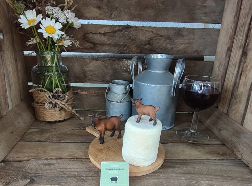 Boutique Boisette - Pur chèvre mi-sec 180g