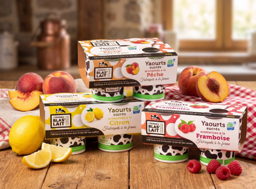 La Ferme de Blas'Lait - Lot 12 Yaourts Aromatisés Pêche, Framboise, Citron