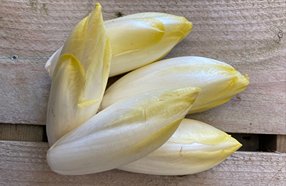 Les Jardins de Gérard - Endive Bio - 500 g