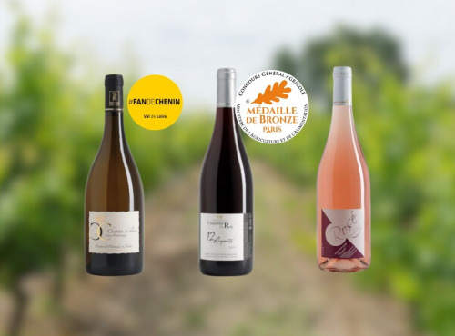 Domaine de la Chopinière du Roy - Coffret cadeau découverte vins de Loire Apéro Ligérien (vin rouge, blanc et rosé) - 3 x 75 cl