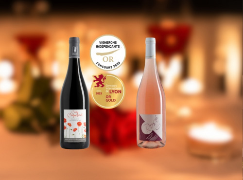 Domaine de la Chopinière du Roy - À deux c’est mieux - Coffret Duo vin de Loire Rouge et Rosé Fruité pour couple - 2 x 75 cl