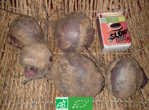 LES JARDINS DE KARINE - Betterave rouge et blanche - 1kg