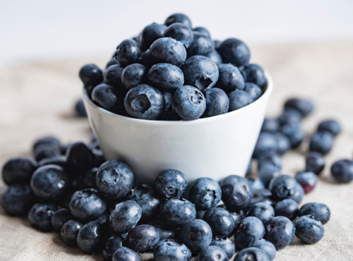 La Ferme des petits fruits - Myrtilles BIO - 9 Kg