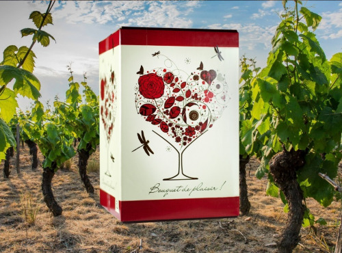 Domaine de la Perrée - Saint Nicolas de Bourgueil Rouge - Bag In Box (BIB) 5L