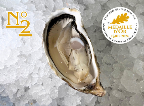 Le Termer - Huîtres de Normandie IGP N°2-12 Pièces "Saveurs de Normandie"