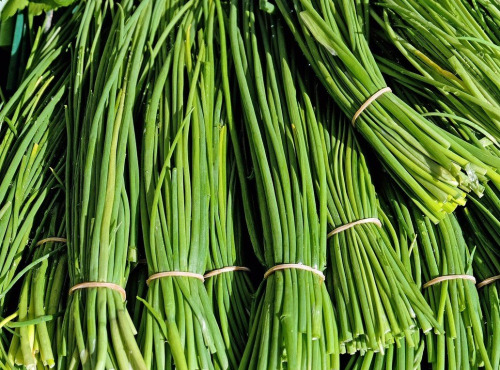 Nature et Saveurs - Ferme Aquaponique et Permacole Astérienne - Ciboulette fraîche – fine, parfumée, irrésistible