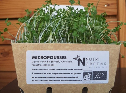 Ma Micropousse culinaire - Micropousses Gourmet mix 4x50g