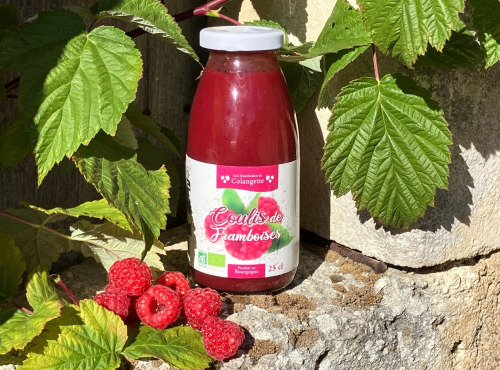 Les framboises de Colangette - Coulis de framboises Bio 25 cl Pack de 3