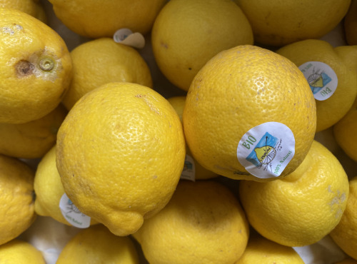 Des Poules et des Vignes à Bourgueil - Citrons