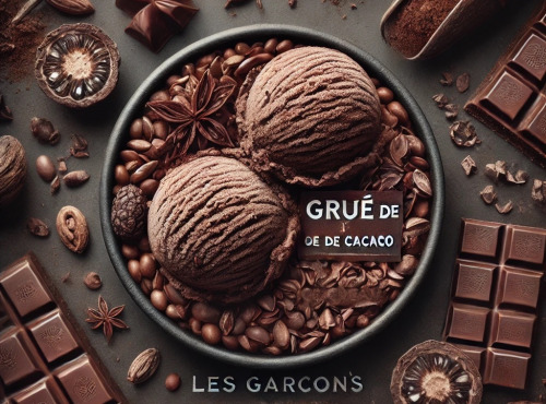 Les Garçons Glaciers - Crème Glacée BIO  Grué de Cacao 365ml