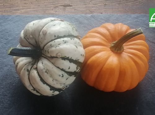 Ferme de Carcouet - Petites Courges Bio - 1 kg