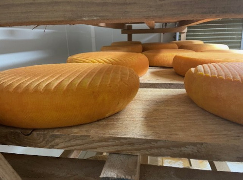 Domaine du Catié - Raclette de la Montagne Noire au lait cru entier