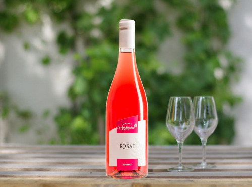 Domaine de l'Ambroisie - Rosae