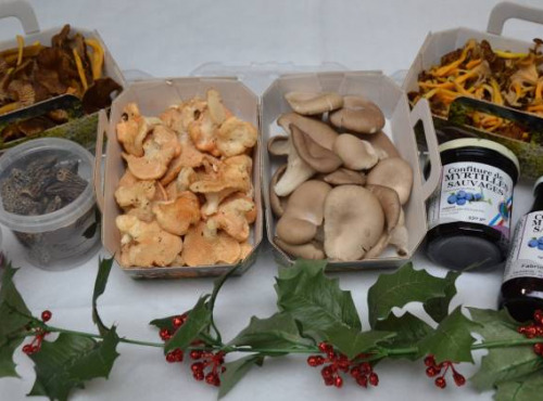 Trapon Champignons - Coffret Spécial Noël