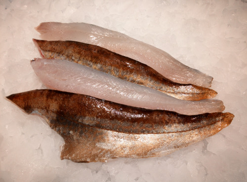 AQUADIS NATURELLEMENT - [caisse 2kg] Filets De Lieu Jaune Avec Peau, Sans Arêtes 200/500gr