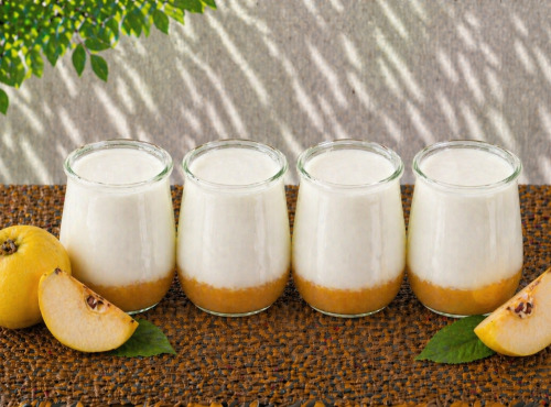 Gaec de l'Elanion - Yaourt Confiture Coing x4