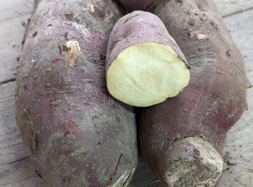 Langevine - PATATE DOUCE MURASAKI 1KG BIO