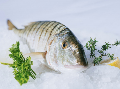 Côté Fish - Mon poisson direct pêcheurs - Marbrés 500g