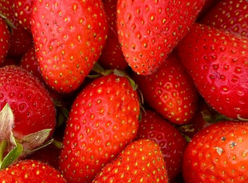 ChâteauFer - Fraise 250g