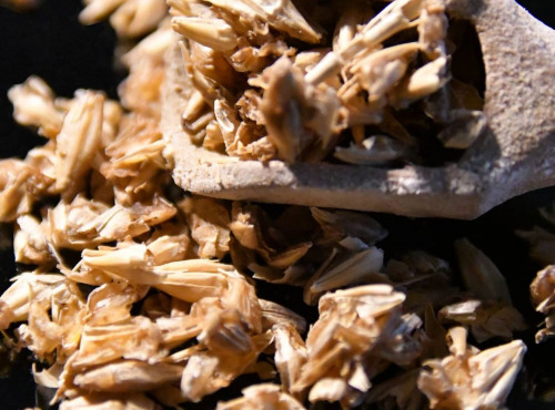 Adal Terra - PRÉPARATION BIO POUR PAIN RUSTIQUE A BASE DE DRÊCHES