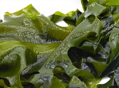 Algolesko - Algue Wakamé Bio 250g