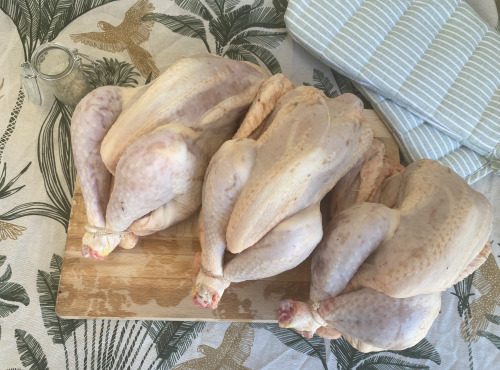 Ferme des Gravelines - Poulet entier fermier BIO 1,8kg – Lot de 3