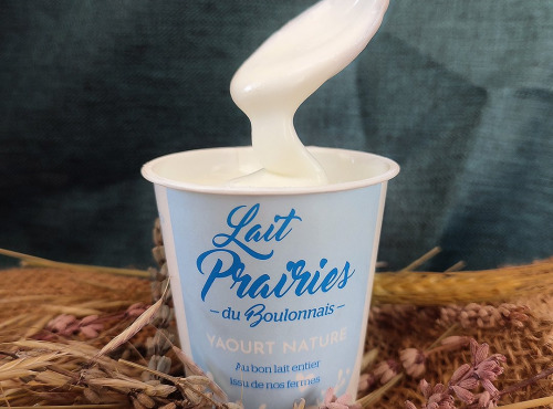 Lait Prairies du Boulonnais - Yaourt nature brassé - 125g