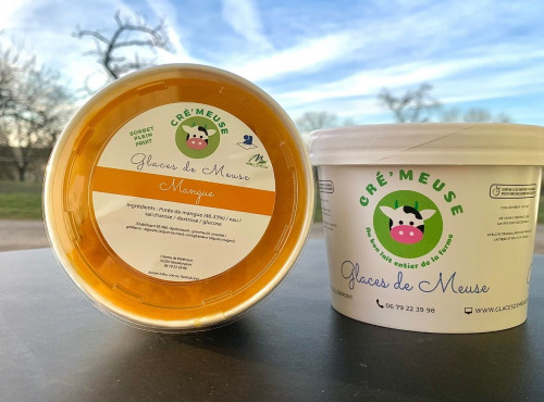 Glaces de Meuse - "Mangue" - Sorbet PF (360gr x 3)