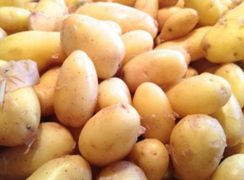 Aux Jardins des Colibris - 2kg de pommes de terre nouvelles