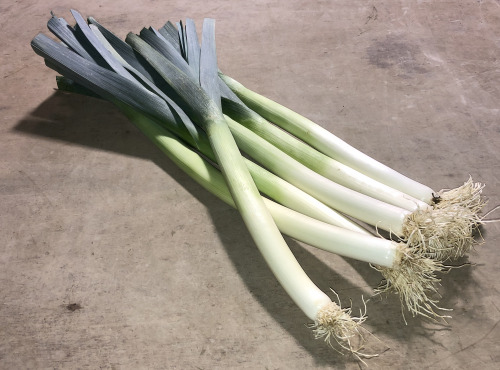 La Boite à Herbes - Poireaux - 1kg