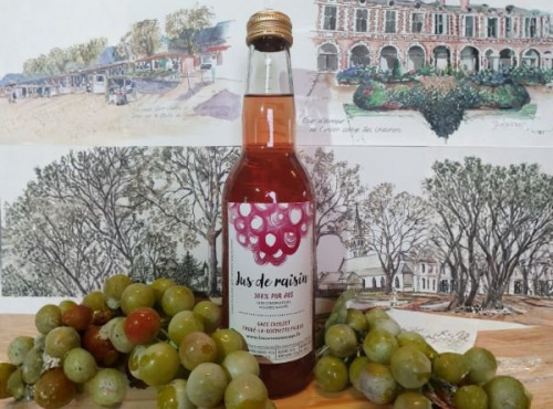 Cave Creuzet - Les Caves aux Caux - Pur jus de raisin 33cL - sans alcool - Lot de 6