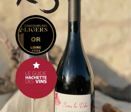 Domaine de la Chopinière du Roy - Lot de 3 Bouteilles de vin rouge Saint Nicolas de Bourgueil cuvée Sous la Robe 2022 - 3 x 75 cl